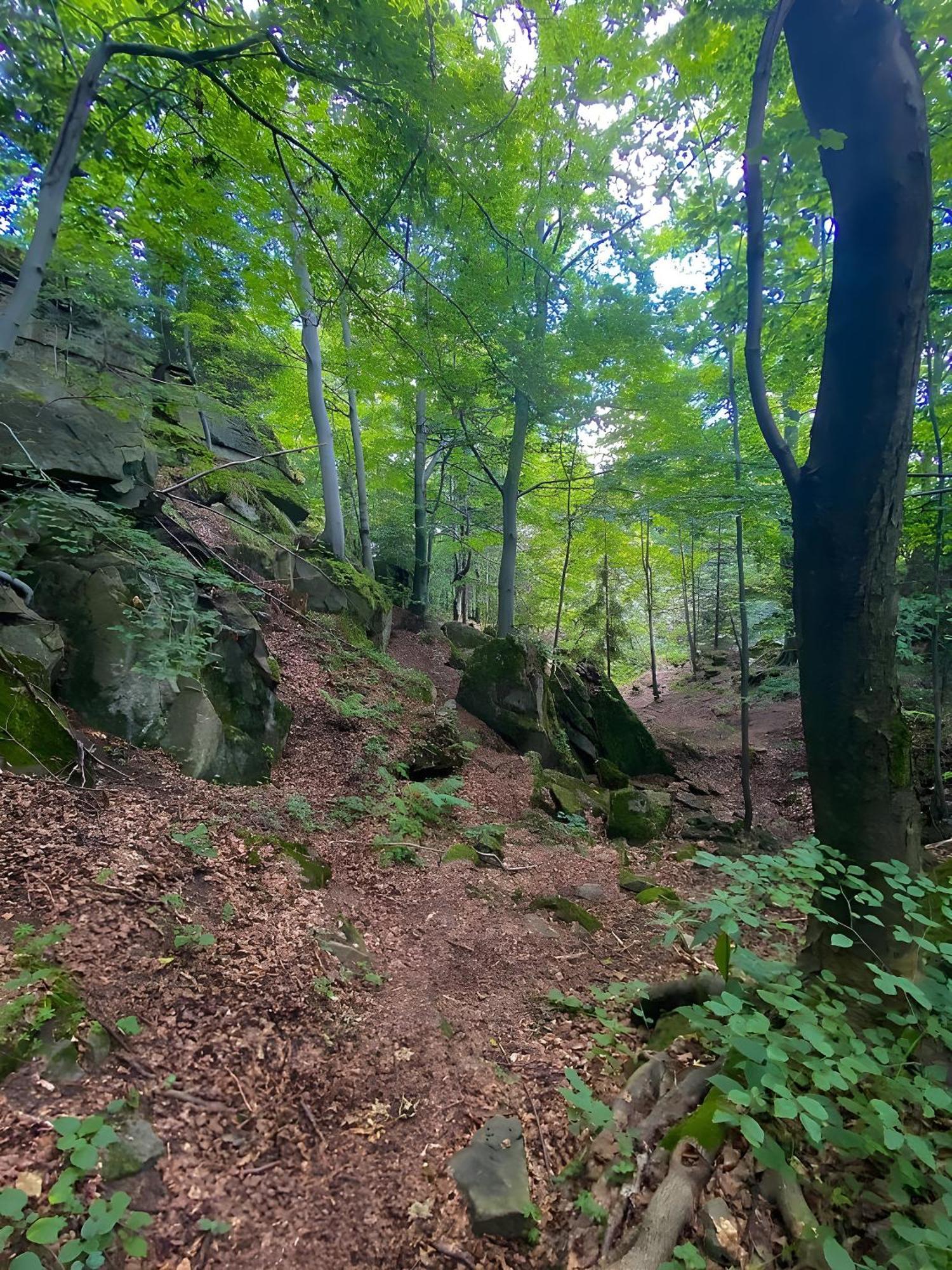 Przystanek Madejowa Villa Jelesnia Luaran gambar