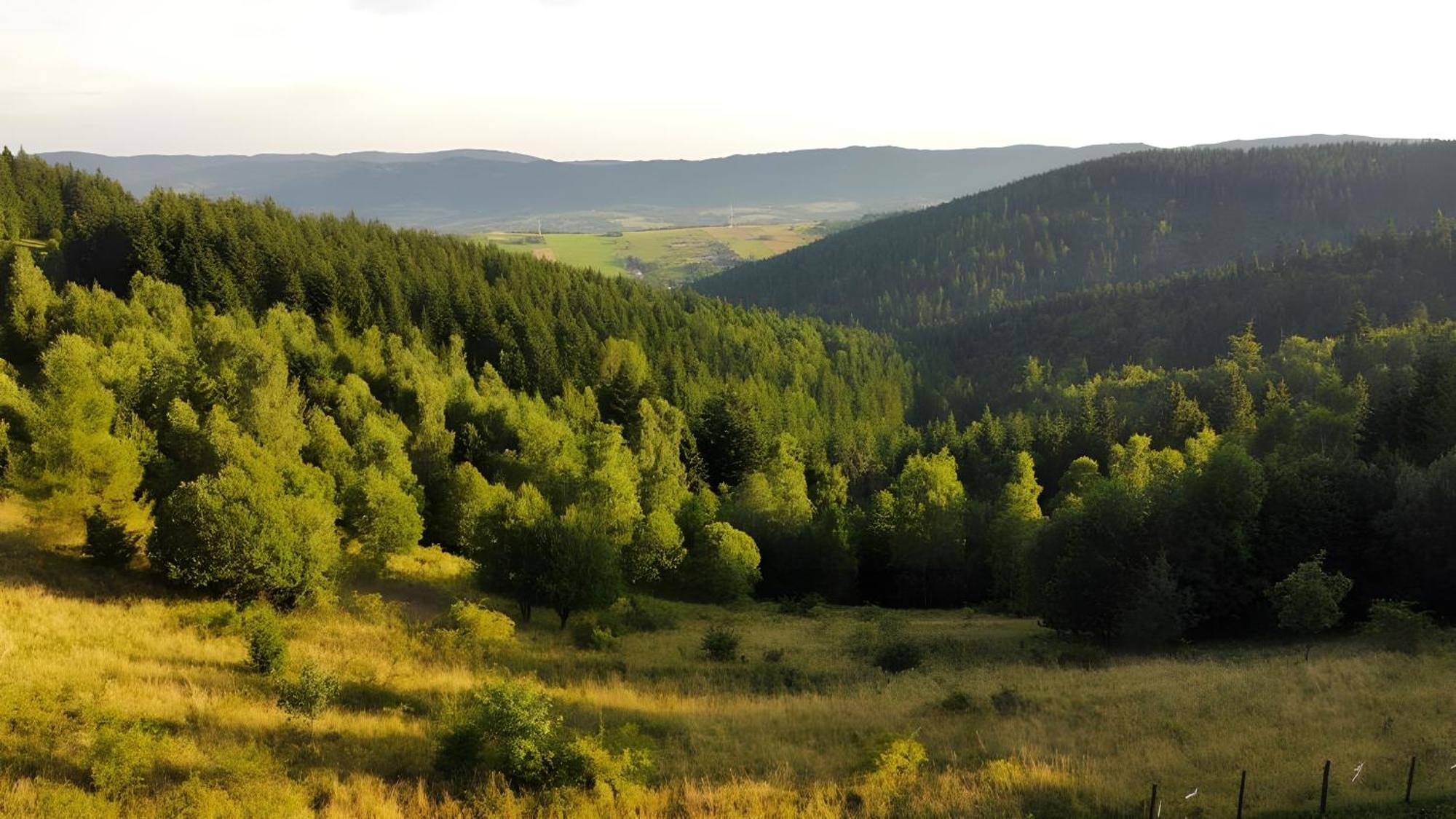 Przystanek Madejowa Villa Jelesnia Luaran gambar