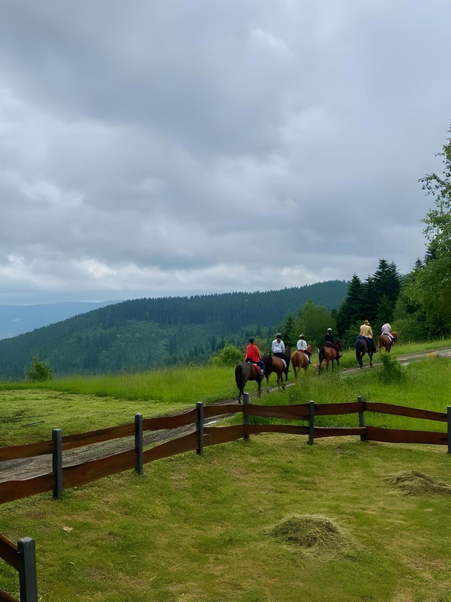Przystanek Madejowa Villa Jelesnia Luaran gambar